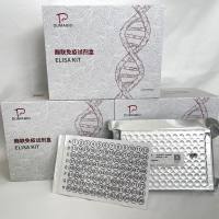猪(Porcine)蛋白酪氨酸磷酸酶受体O(PTPRO)ELISA检测试剂盒