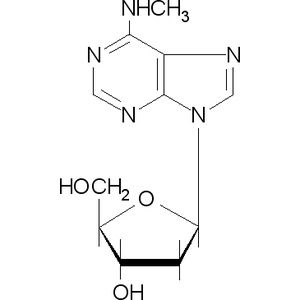 N6-甲基-2'-脱氧腺苷