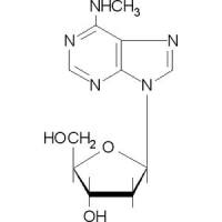 N6-甲基-2'-脱氧腺苷