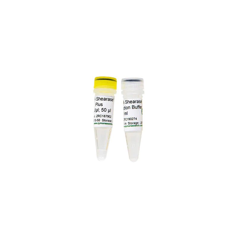 双链 DNA 片段化酶 Plus