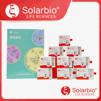 Recombinant Human ZNF182 Protein (Antigen)