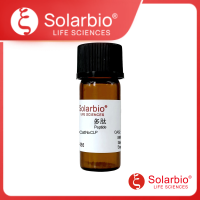 β Amyloid (1-16) rat