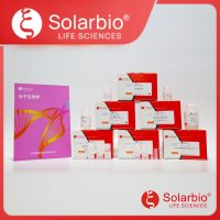 pLV3-U6-PTEN(human)-UTR-shRNA2-Puro