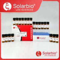 6种葡聚糖分子量标准品套装