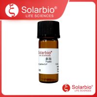MIS12 Antibody Blocking Peptide