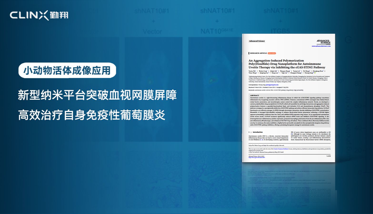 IVScope小动物活体成像 | Advanced Science期刊：新型纳米平台突破血视网膜屏障，高效治疗自身免疫性葡萄膜炎