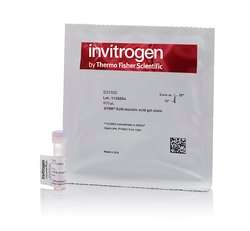 Invitrogen SYBR Safe DNA凝胶染料产品图