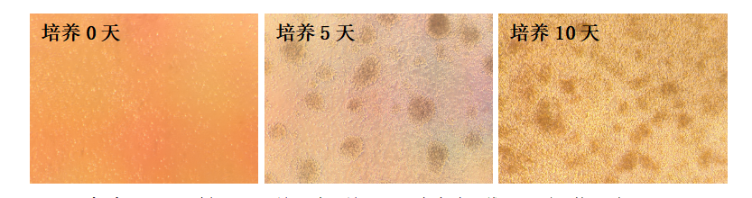 新闻图片4