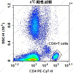 CD4 Antibody4℃阳性对照检测结果