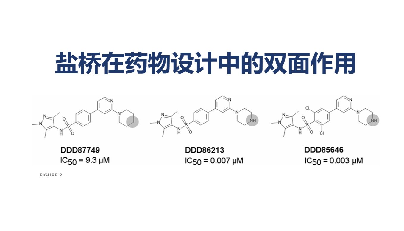 【药物–靶标分子间作用力网络解析③】盐桥在药物设计中的双面作用