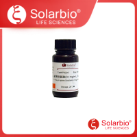1×多聚赖氨酸(0.1mg/ml，RNase/DNase free)