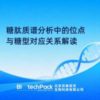 糖肽质谱分析中的位点与糖型对应关系解读
