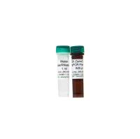 ZymoTaq 实时荧光定量 PCR 预混液(200 Rxns)