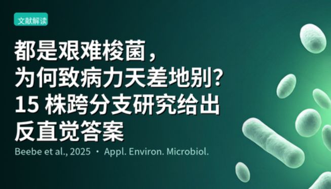 都是艰难梭菌，为何致病力天差地别？15 株跨分支研究给出反直觉答案