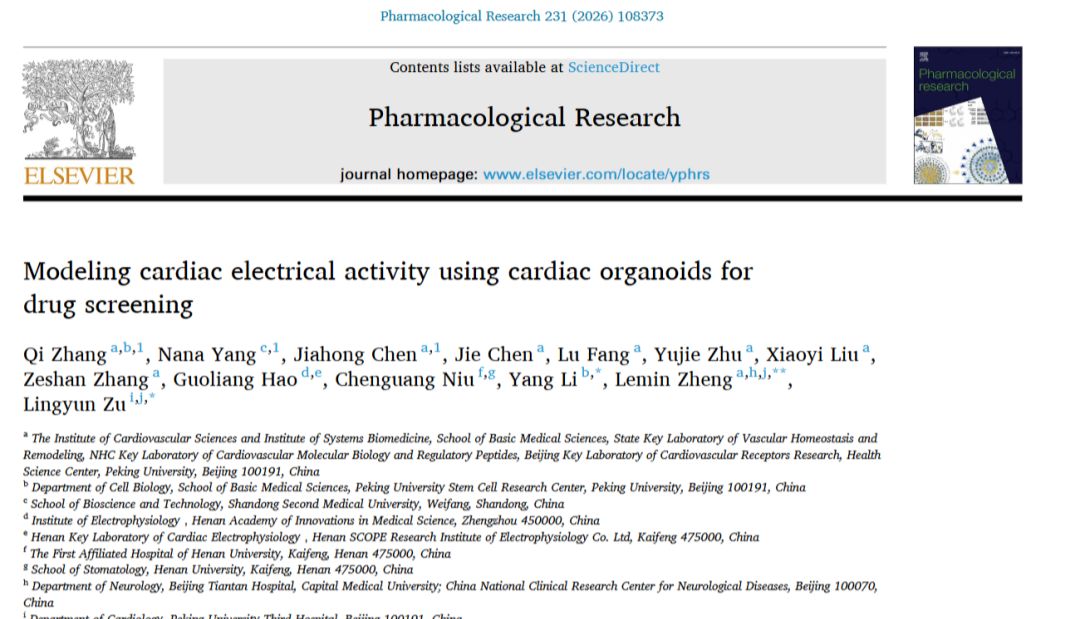 《Pharmacological Research》：心脏类器官的多层次电生理表征及其药物反应性研究