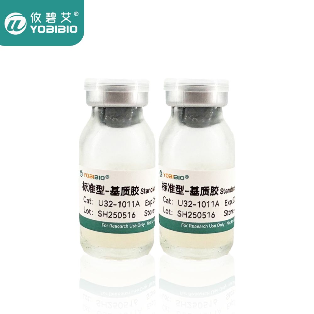 基质胶(Matrigengel)标准款