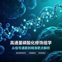 高通量磷酸化修饰组学