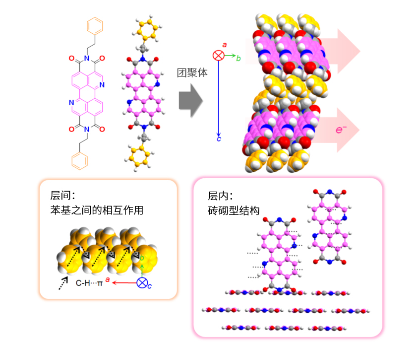 新闻图片6