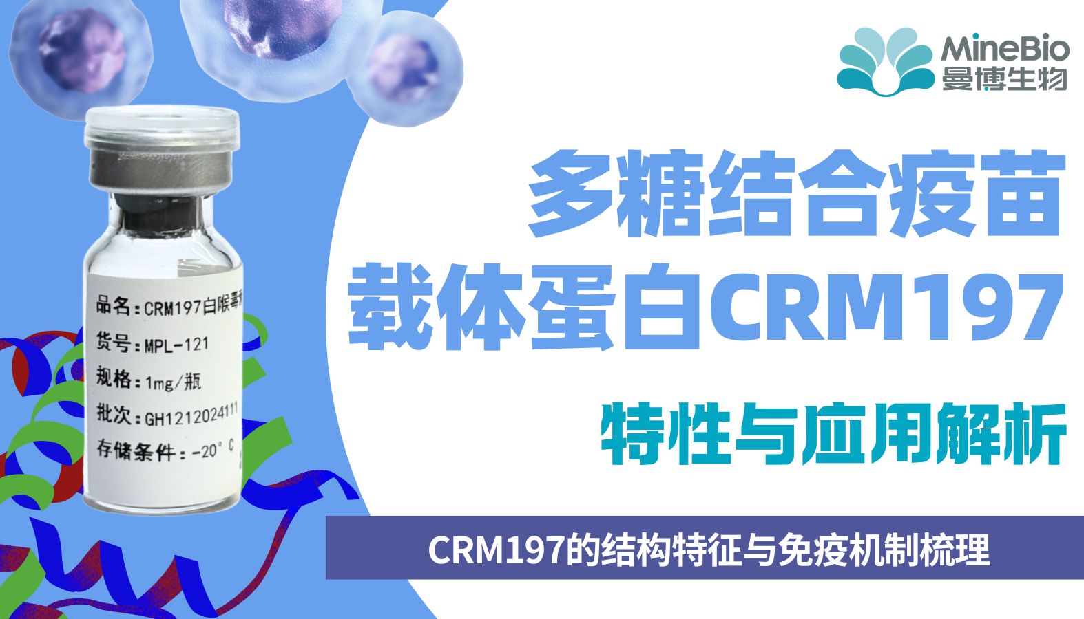 多糖结合疫苗载体蛋白CRM197的特性与应用解析