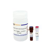 Beyo3D™活性氧检测试剂盒(DCFH-DA)