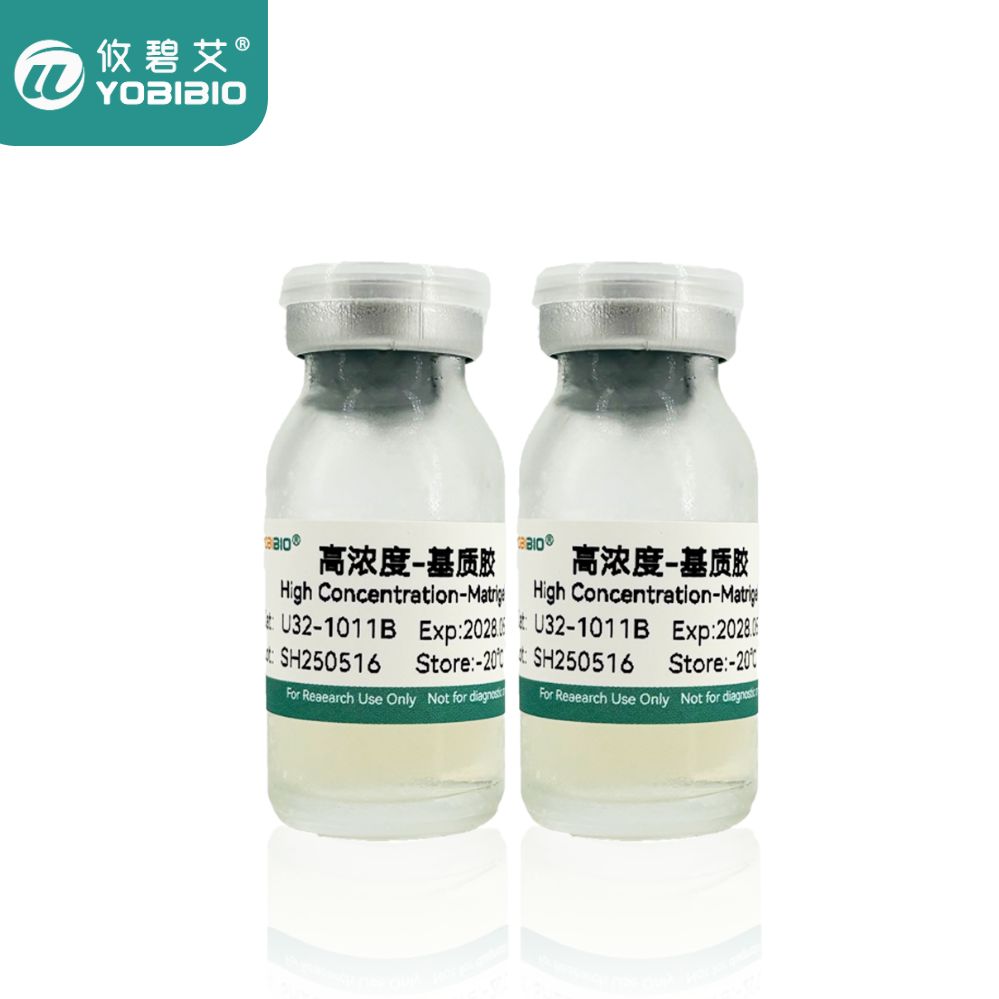 基质胶(Matrigengel)高浓度