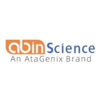 Anti-SSEA-3/GalGb4 Antibody (2A9)