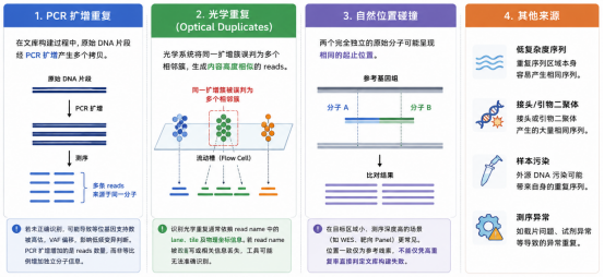 同一份样本三个重复率，到底该信谁？