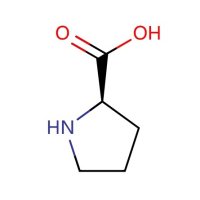 D-脯氨酸，344-25-2，Moligand™, 10mM in Water，阿拉丁