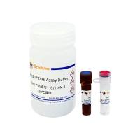 Beyo3D™超氧阴离子活性氧检测试剂盒(DHE)