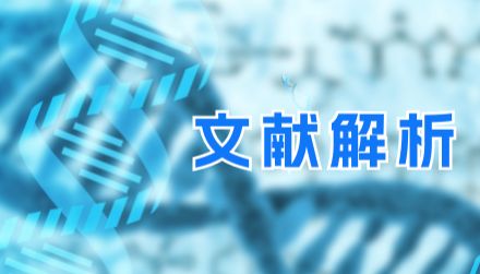 IF=20.1丨中性粒细胞-伤害性神经负反馈轴调控炎症消退，解锁糖尿病骨损伤修复新靶点