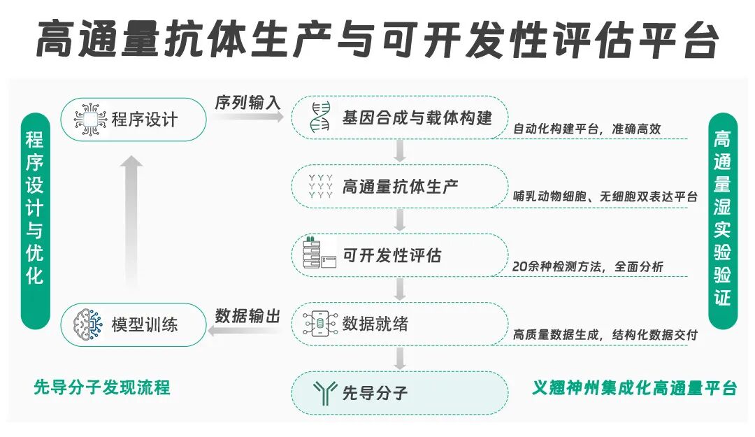 高通量抗体制备及早期可开发性评估一站式解决方案