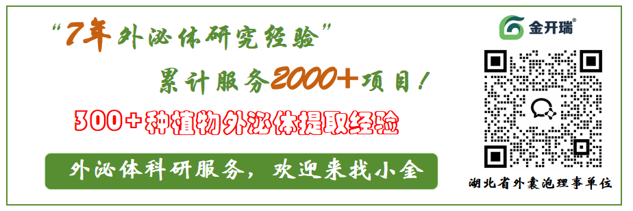 沙漠人参新解｜《J Nanobiotechnology》：肉苁蓉外泌体样纳米囊泡靶向支持细胞 p21 通路，修复睾丸损伤新机制
