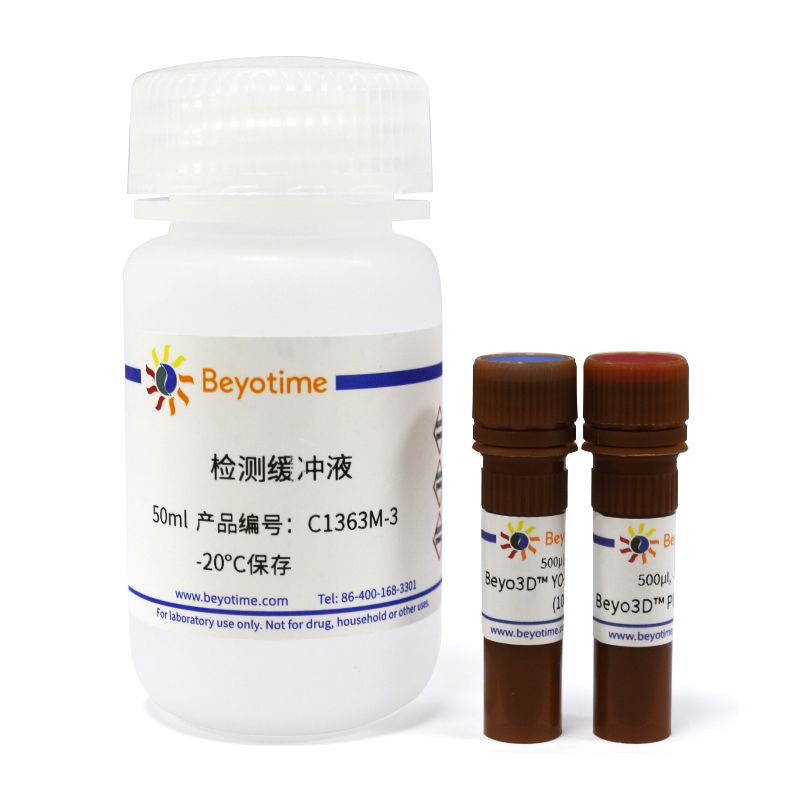 Beyo3D™ YO-PRO-1/PI细胞凋亡与坏死检测试剂盒