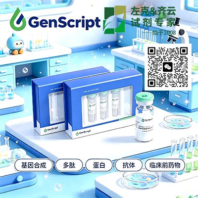 IL-4 R alpha/CD124, His, Cynomolgus产品图