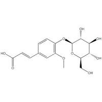 (E)-4-羟基-3-甲氧基肉桂酸4-O-β-D-吡喃葡萄糖苷