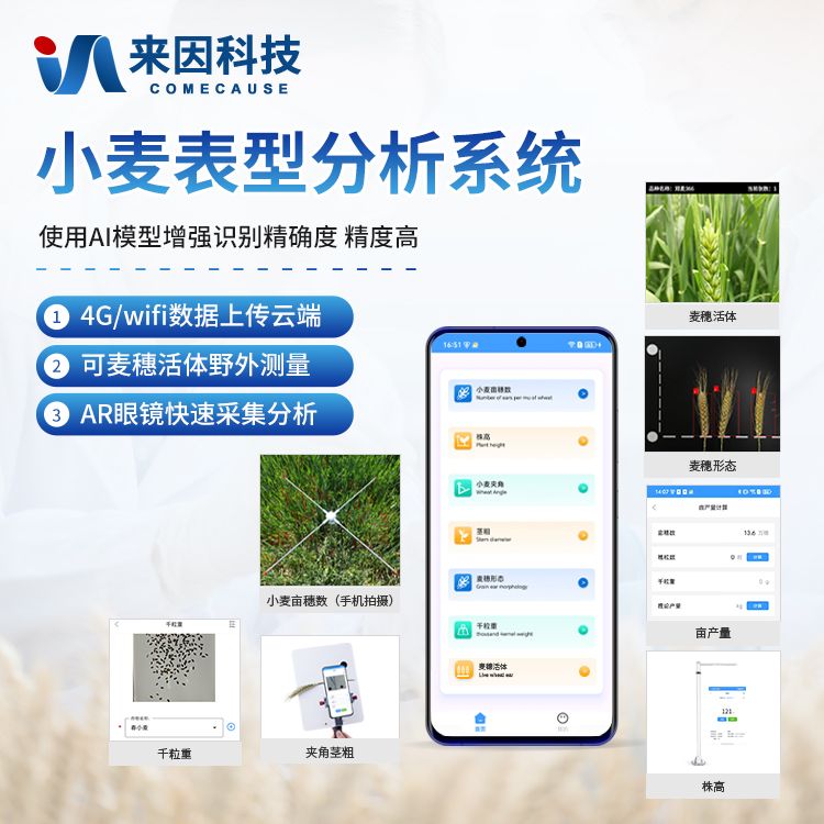 小麦表型分析系统/小麦表型分析测量仪/小麦夹角茎粗测量仪