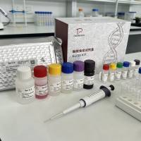 豚鼠（Guinea Pig）前列腺素F2α(PGF2α)ELISA检测试剂盒