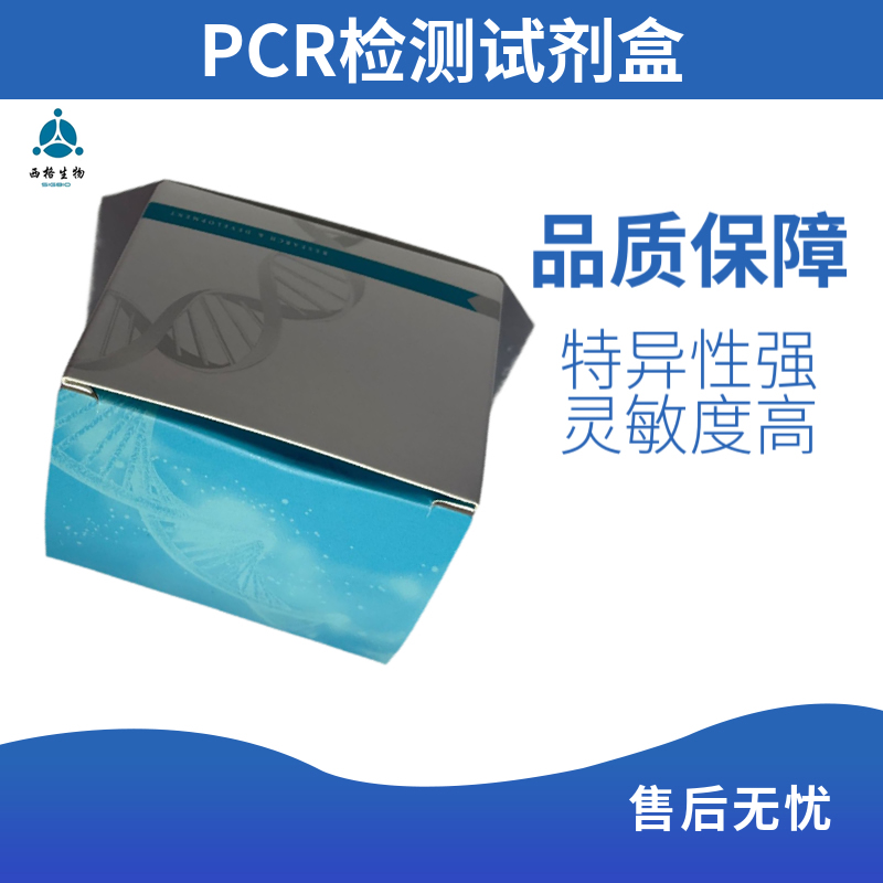 半定量PCR试剂盒预混液配方与常规PCR预混液存在哪些差异？