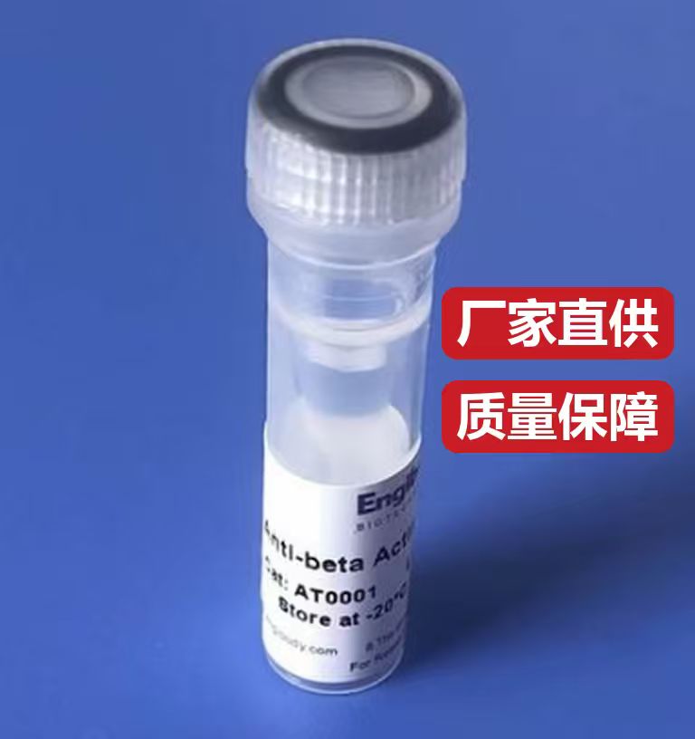 中性大豆蛋白胨产品图