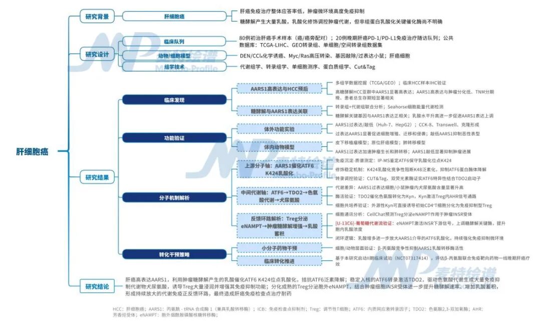客户案例 | Cell Metabolism : AARS1通过乳酸化介导的色氨酸代谢促进肝细胞癌进展与免疫逃逸