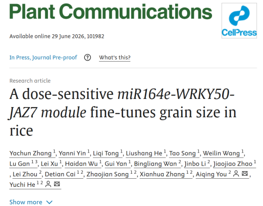 Plant Communications (13.7) |康测科技DAP-seq联合转录组助力揭示水稻籽粒大小精细调控机制