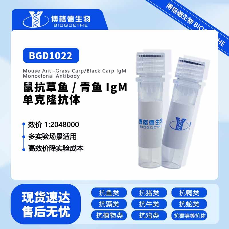 BGD1022 鼠抗草鱼/青鱼IgM单克隆抗体(Mouse anti-Grass carp/Black carp IgM Monoclonal Antibody)