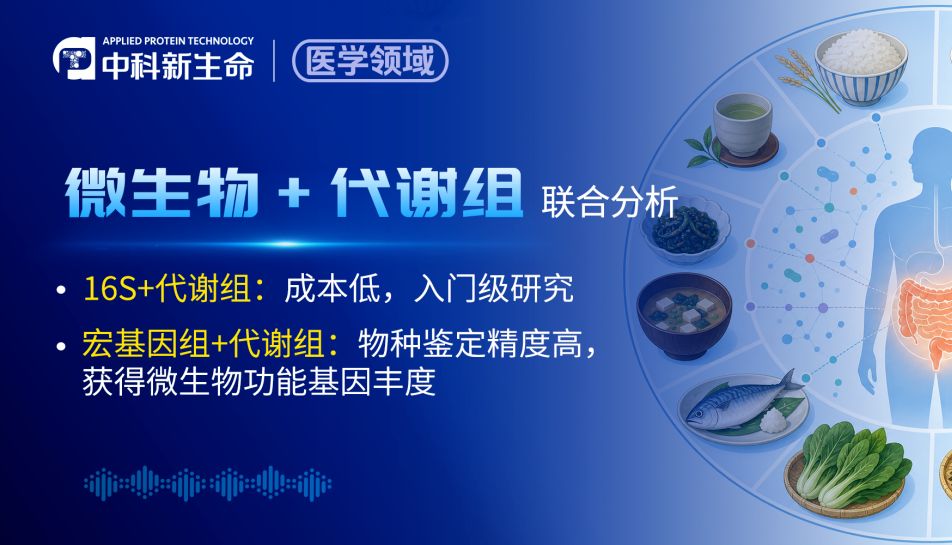 Nature Health | 更适合中国宝宝体质的健康饮食模式！浙江大学近万人研究：东方饮食能显著改善肥胖并降低心血管风险