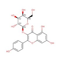 三叶豆苷，23627-87-4，≥98%，阿拉丁