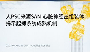 文献选读｜人源组装体揭示心脏起搏成熟机制