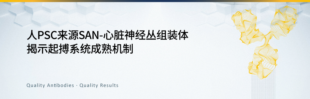 新闻图片1