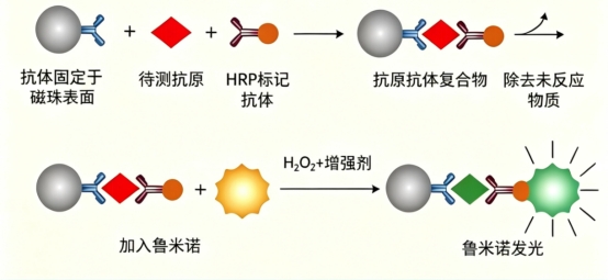 新闻图片1