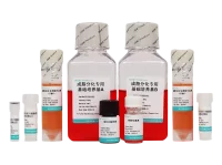 3T3-L1(小鼠胚胎成纤维细胞) 成脂诱导分化培养基