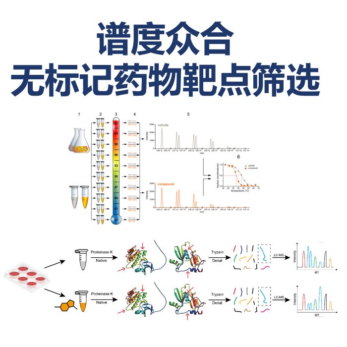 谱度众合：无标记药物靶点筛选与药物靶点发现一站式解决方案及送样要求