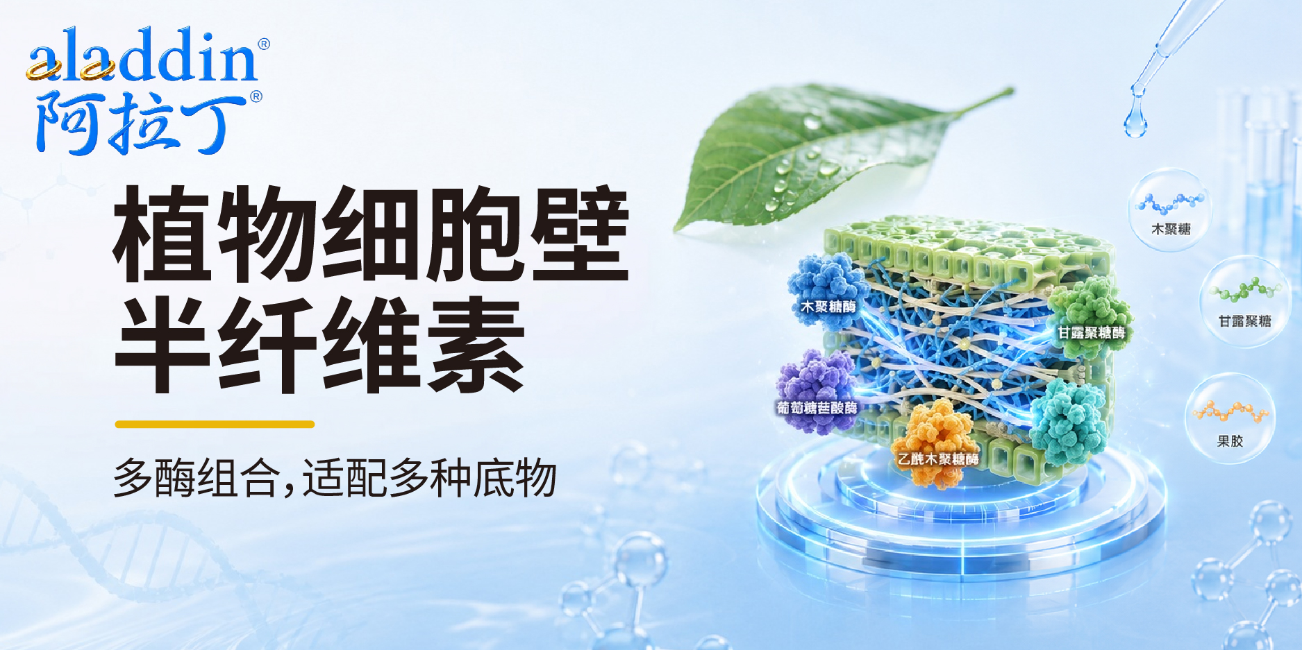 【阿拉丁】植物细胞壁半纤维素降解的酶协同研究分享